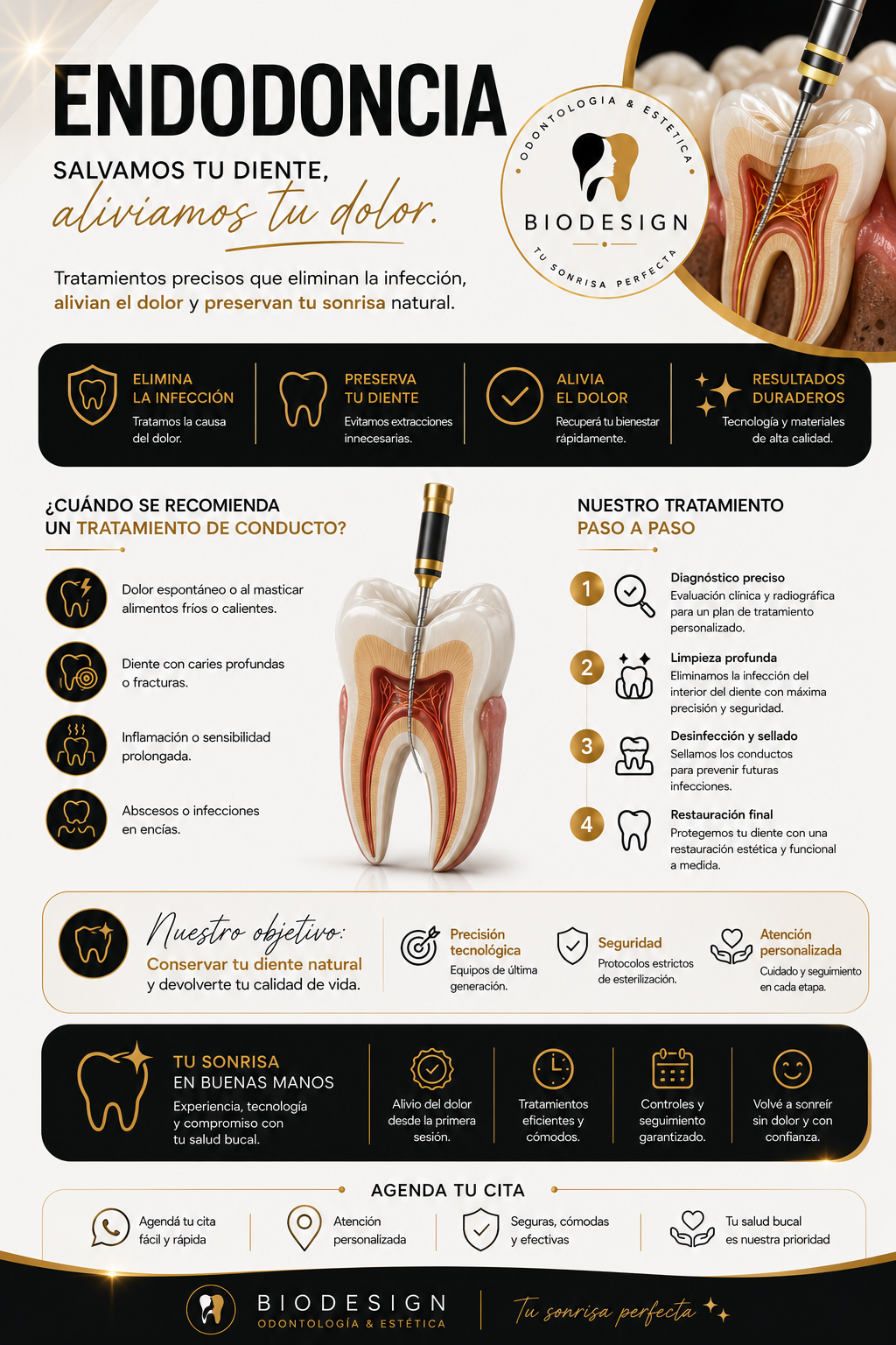 Información — Endodoncia (1)